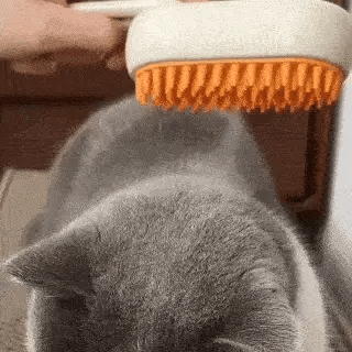 SuavePelo™ - El cepillo de vapor que limpia, hidrata y da brillo al pelaje de tu gato